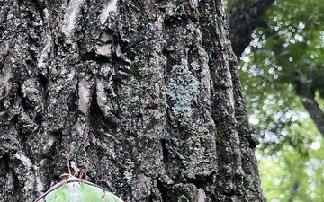 Striking a balance between nature and recreation