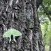 Striking a balance between nature and recreation