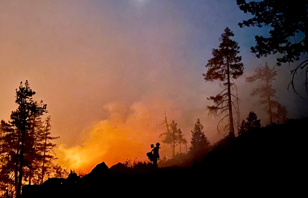 Pocket-sized Intel: Fighting Wildfire with Data