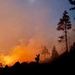 Pocket-sized Intel: Fighting Wildfire with Data