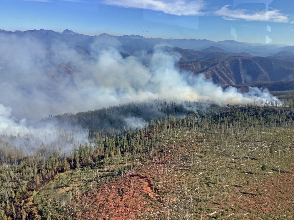 Pocket-sized Intel: Fighting Wildfire with Data