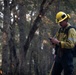 Pocket-sized Intel: Fighting Wildfire with Data