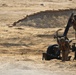US Soldiers, Marines, partner nations conduct live fire training during BRIGHT STAR 25