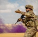 US Soldiers, Marines, partner nations conduct live fire training during BRIGHT STAR 25