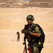 US paratroopers and partner nations jump of Giza Pyramids
