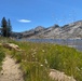 Wilderness
