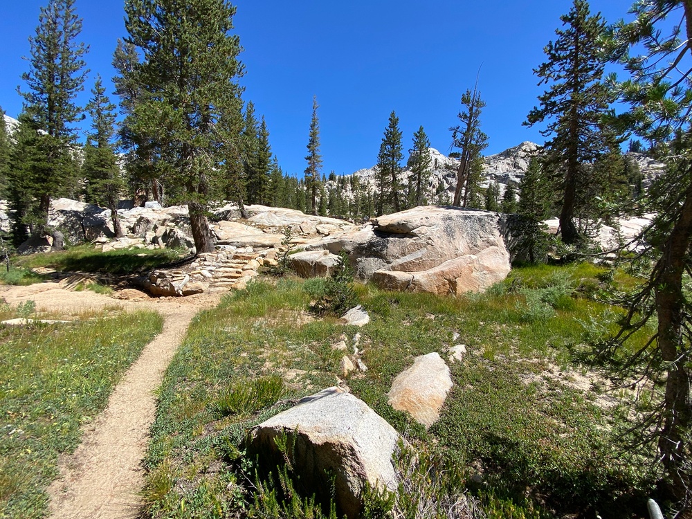 Wilderness