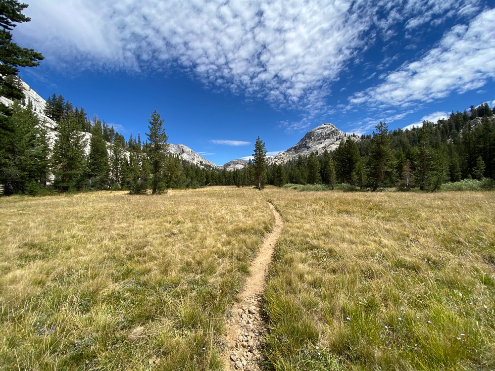 Wilderness