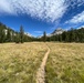 Wilderness
