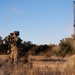 CRT Chief: The Quarterback to Mission Success