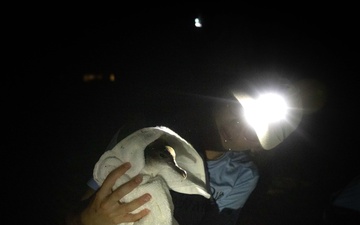 Pacific Missile Range Facility (PMRF) Bird Banding in Preparation for Dark Skies