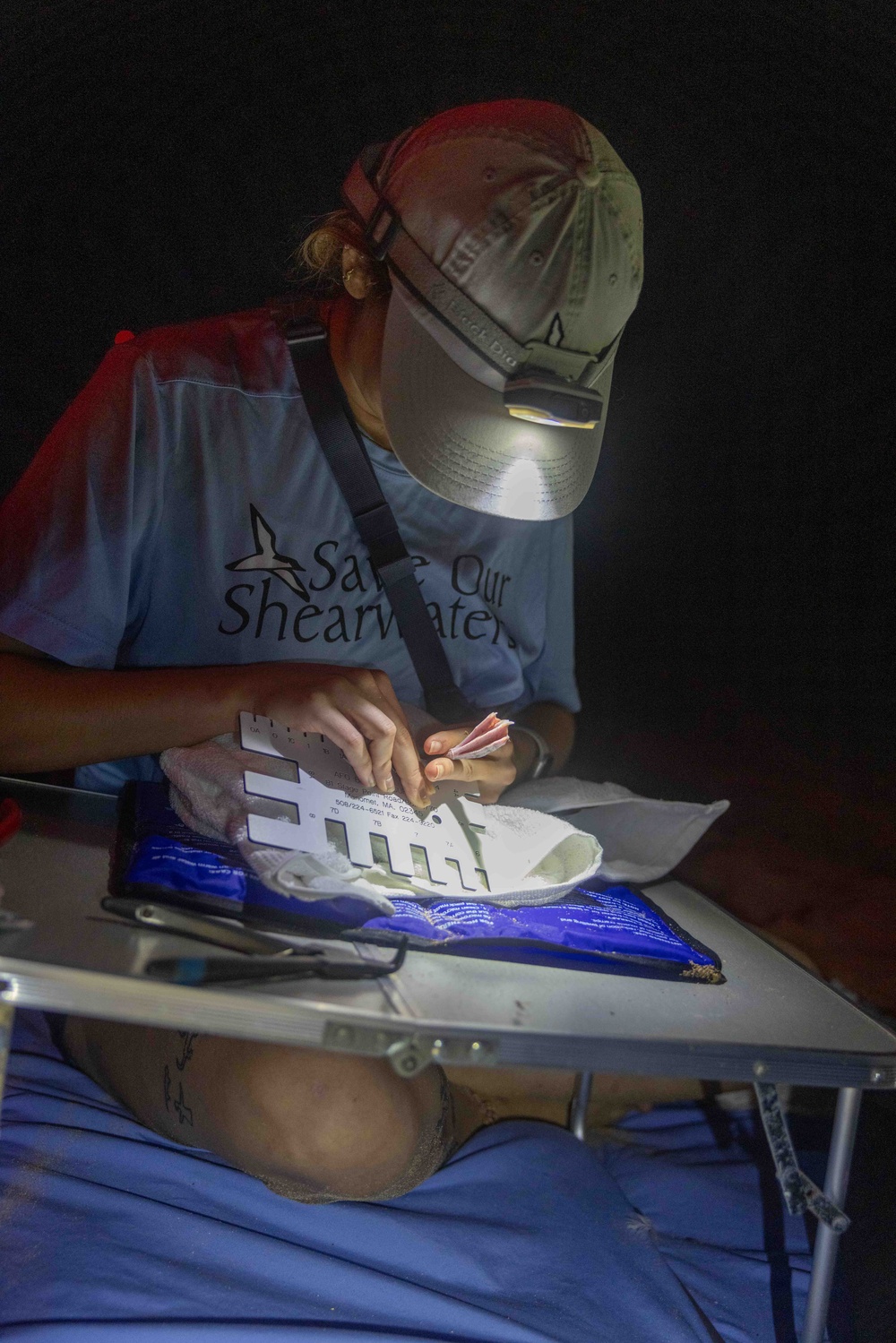 Pacific Missile Range Facility (PMRF) Bird Banding in Preparation for Dark Skies
