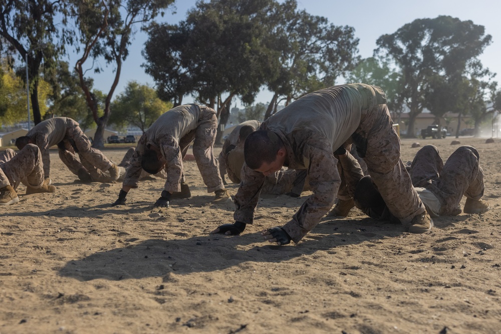 Delta Company Combat Conditioning