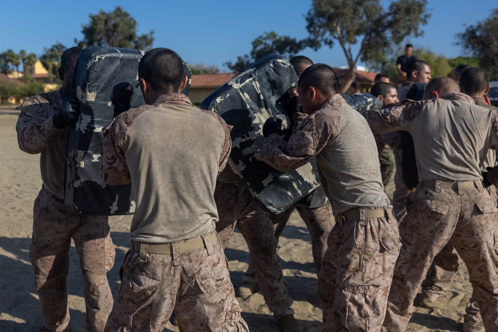Delta Company Combat Conditioning