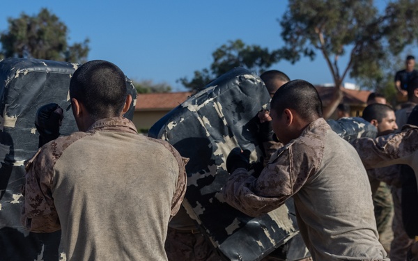 Delta Company Combat Conditioning