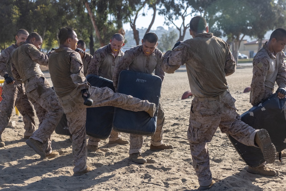 Delta Company Combat Conditioning