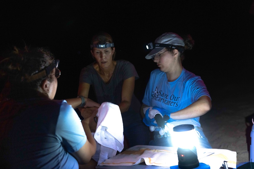 Pacific Missile Range Facility (PMRF) Bird Banding in Preparation for Dark Skies