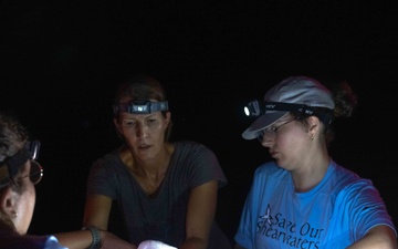 Pacific Missile Range Facility (PMRF) Bird Banding in Preparation for Dark Skies