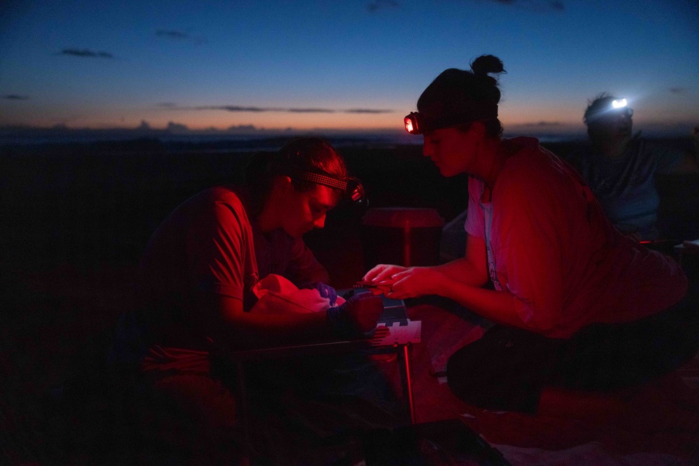 Pacific Missile Range Facility (PMRF) Bird Banding in Preparation for Dark Skies