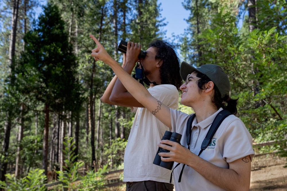 Birding