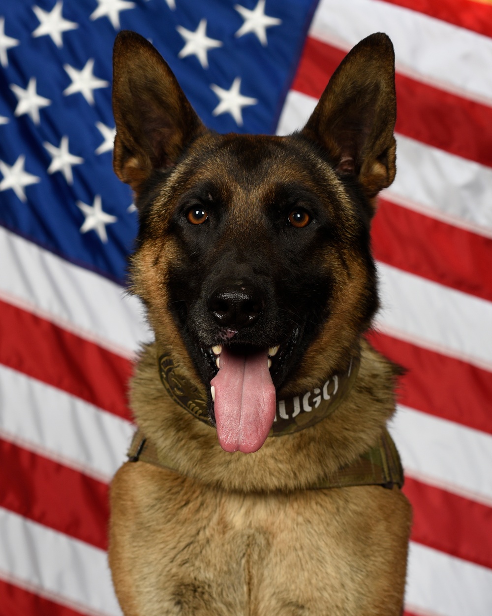 Team Fairchild MWD Hugo Retires