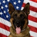 Team Fairchild MWD Hugo Retires