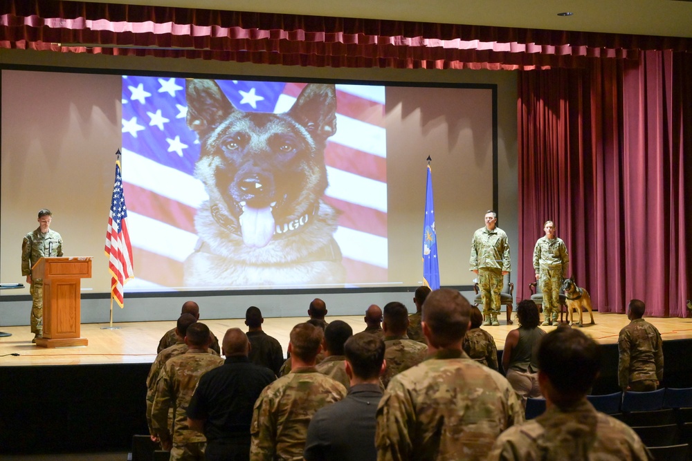 Team Fairchild MWD Hugo Retires