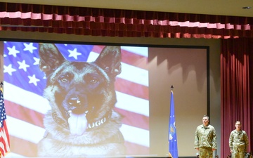 Team Fairchild MWD Hugo Retires