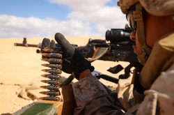 Marines with 4th Assault Amphibian Battalion conduct machine gun range during BRIGHT STAR 25 [Image 1 of 6]