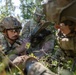 U.S. Army Europe and Africa Best Squad Competition 2025