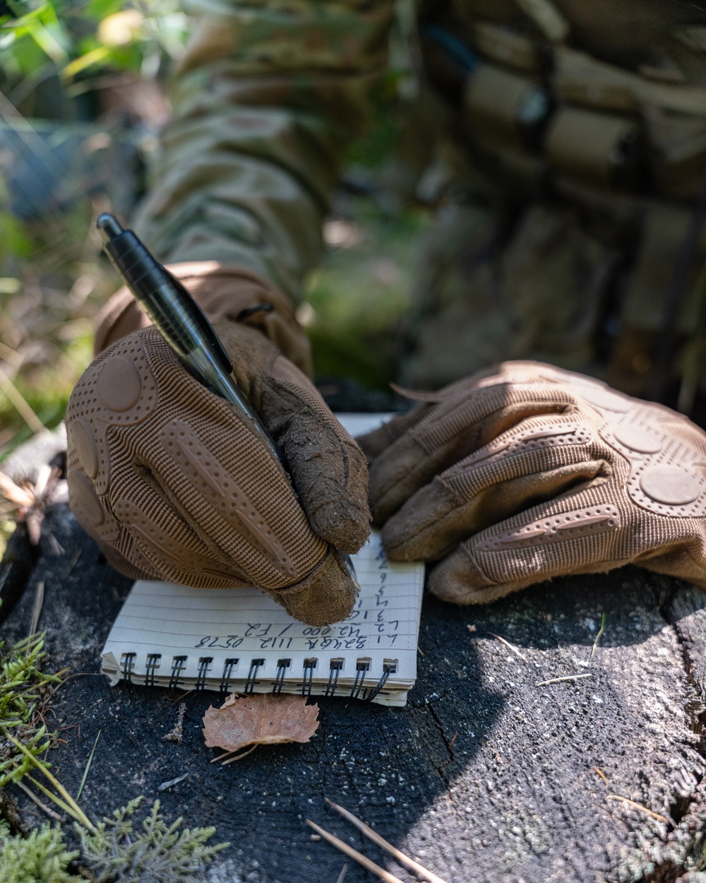 U.S. Army Europe and Africa Best Squad Competition 2025
