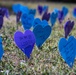 Hope Lights the Way Walk Brings Shipyard Together for Suicide Awareness
