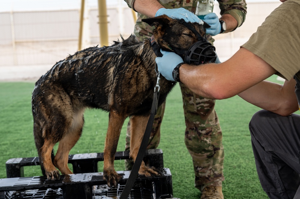 Squeaky Clean and Contaminate Free