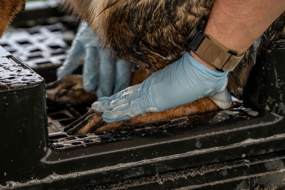 Squeaky Clean and Contaminate Free