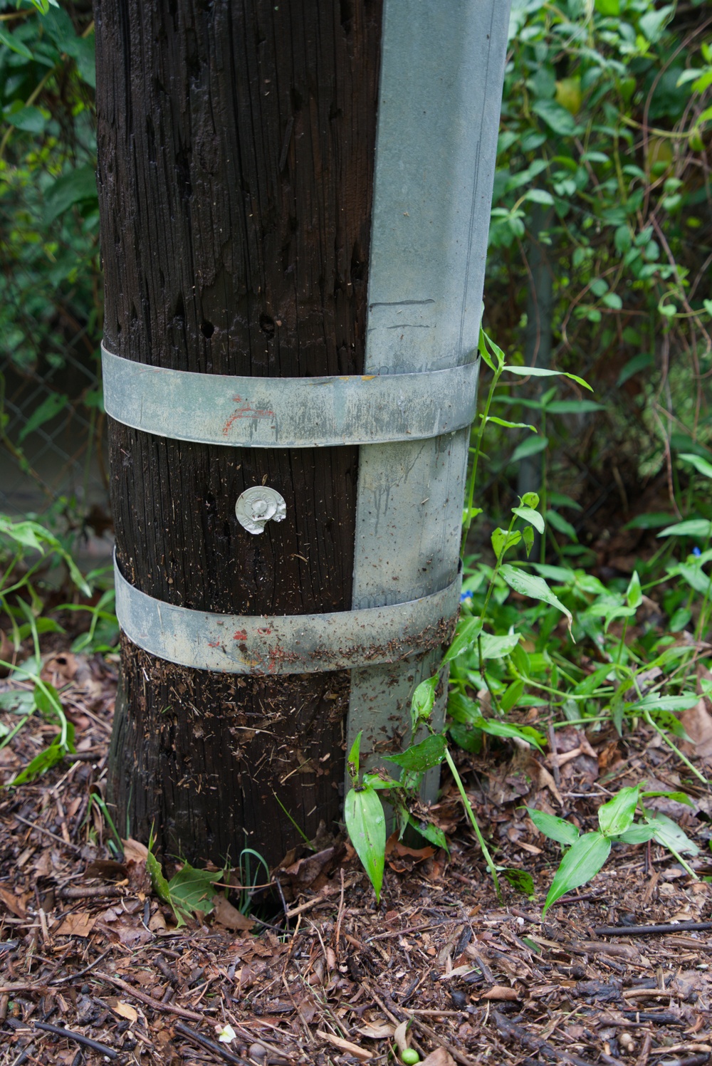 ‘Like a detective looking for evidence in a crime scene’: How collecting high-water marks helps flood risk reduction efforts