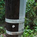 ‘Like a detective looking for evidence in a crime scene’: How collecting high-water marks helps flood risk reduction efforts