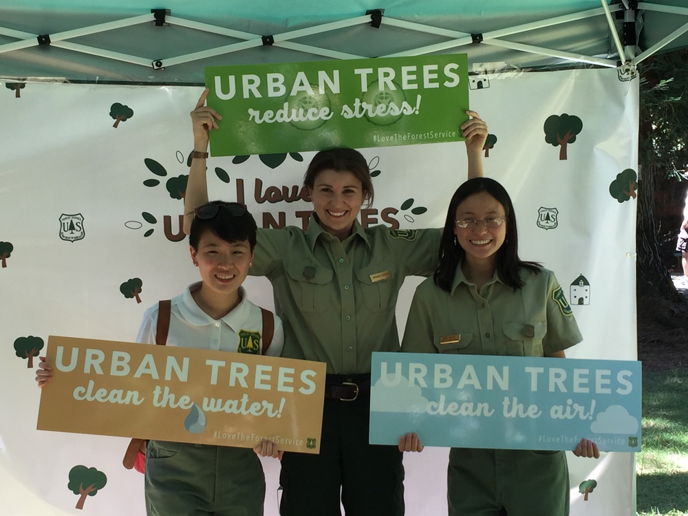 The Grassroots of Our Urban Forests