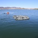 Local law enforcement agencies lend support to airborne Soldiers’ water training