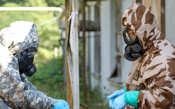101st Airborne Division (Air Assault) Conducts Live Chemical Agent Training with Slovak Armed Forces