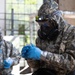 101st Airborne Division (Air Assault) Conducts Live Chemical Agent Training with Slovak Armed Forces