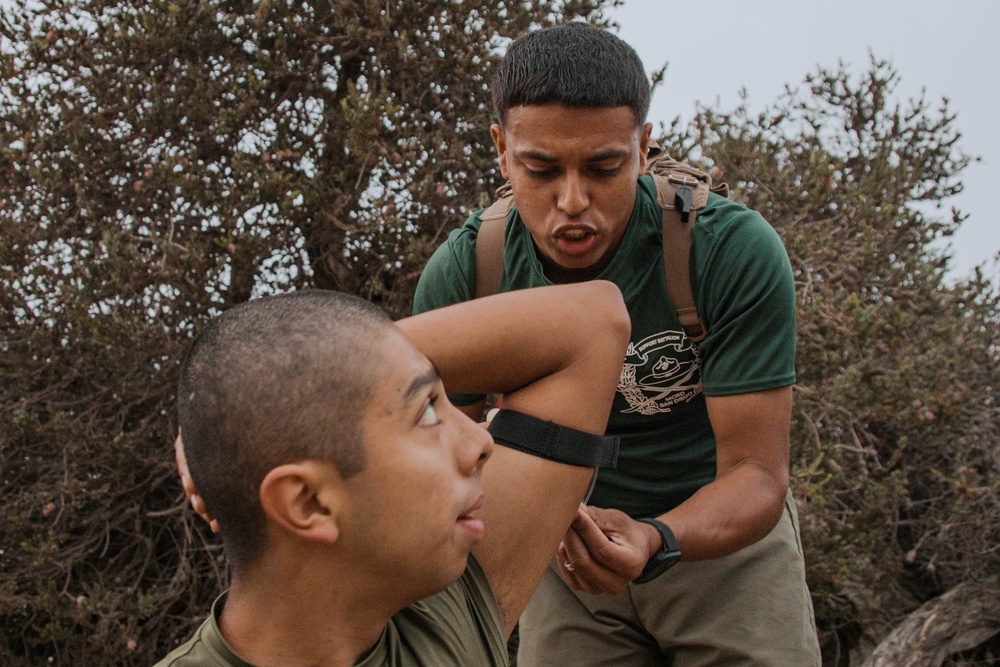Alpha Company ISA