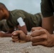 Alpha Company ISA