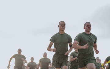 Marine Corps announces updated physical fitness standards