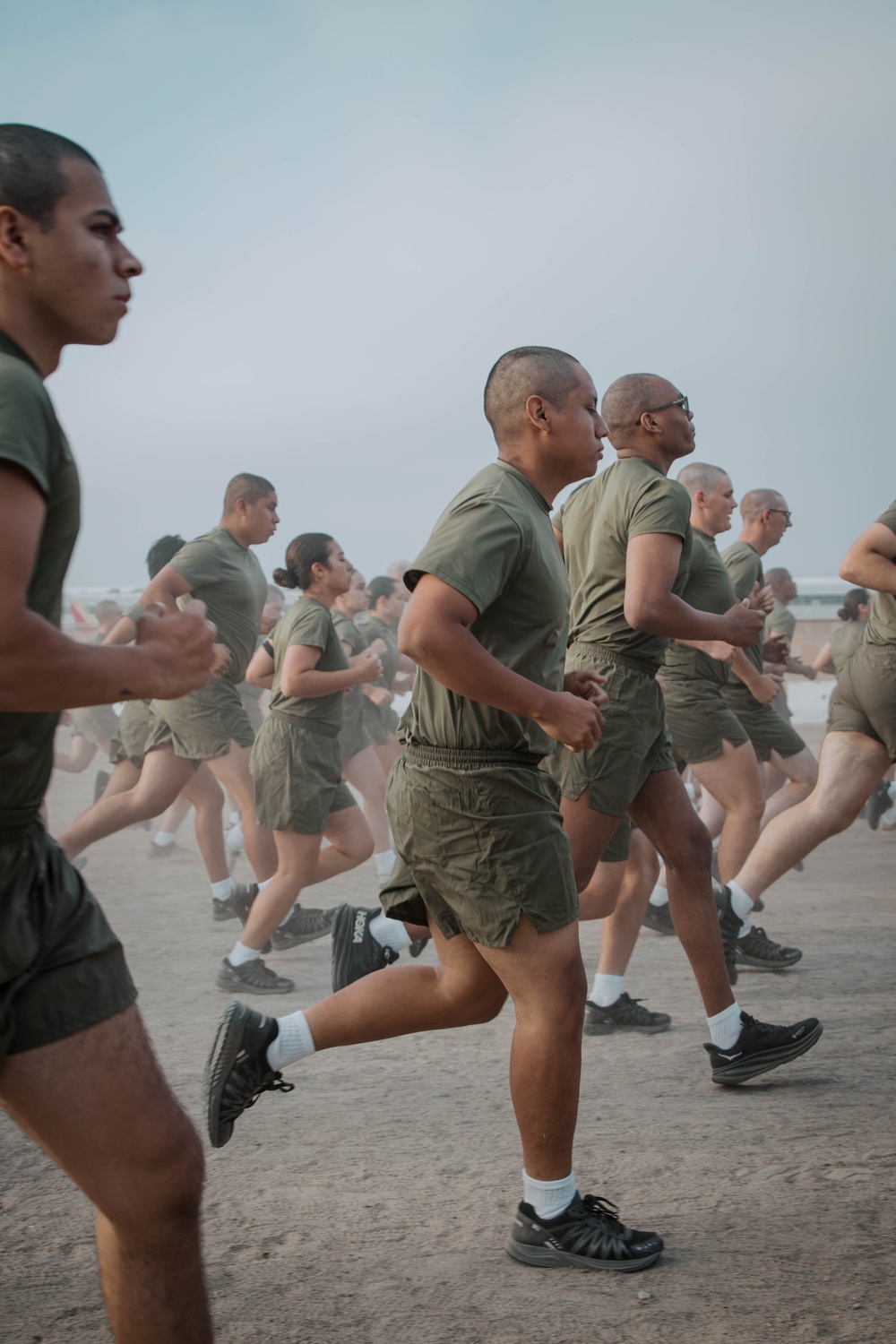 Alpha Company ISA