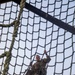 OC/T Overcomes Obstacle