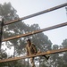 OC/T Overcomes Obstacle