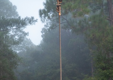 OC/T Overcomes Obstacle