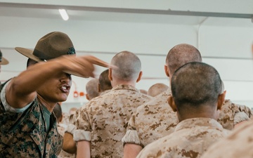 Alpha Company Pick-Up