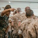 Alpha Company Pick-Up