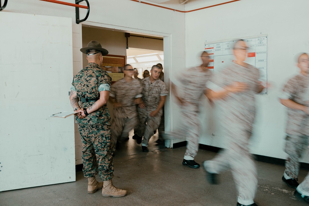 Alpha Company Pick-Up